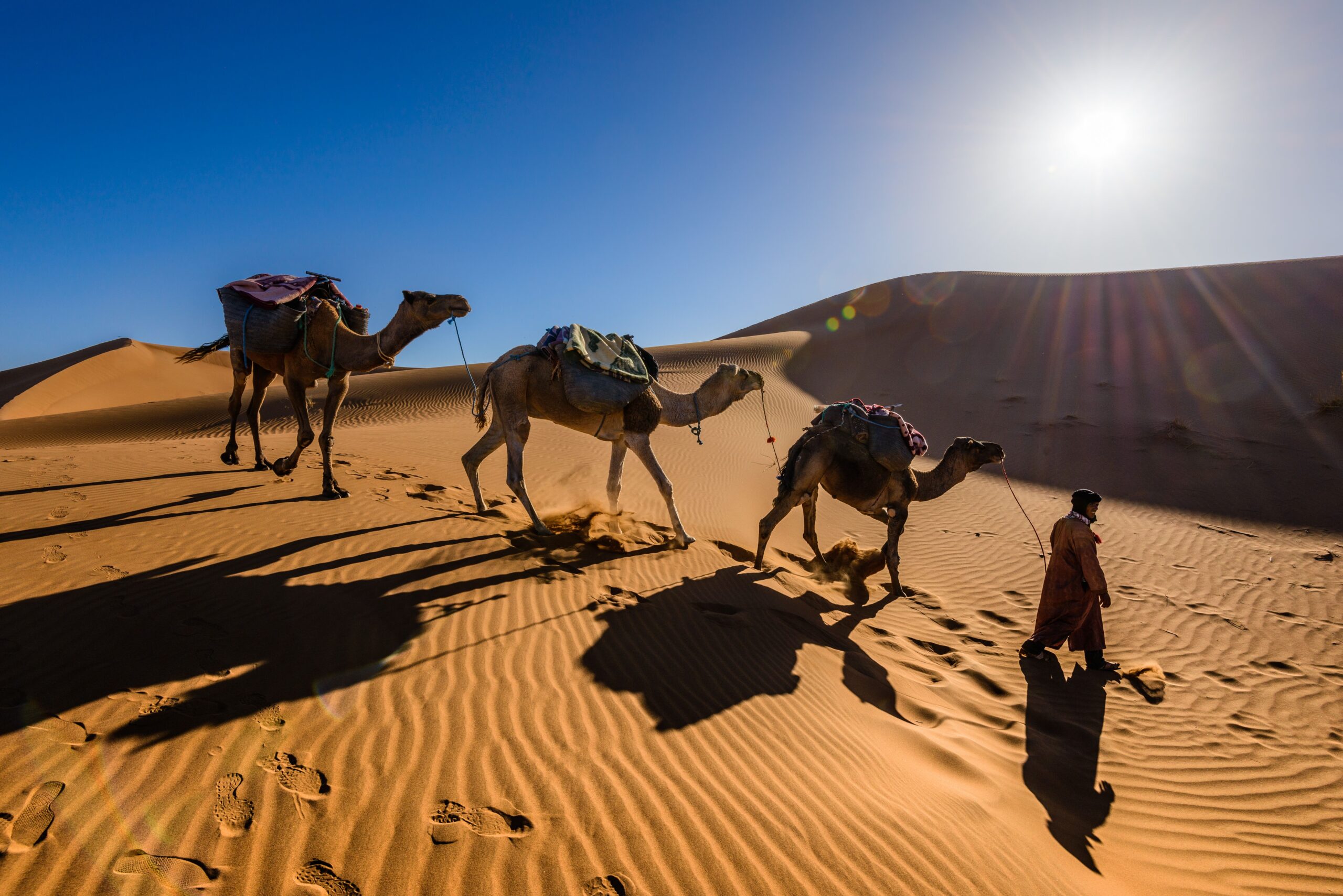 Desierto