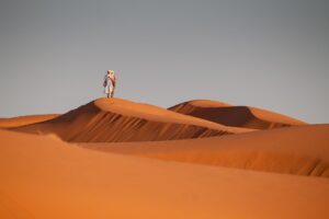 Gallery Thumbnail 6